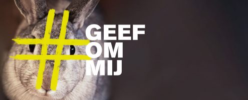homeslider-geefommij4 homeslider-geefommij4